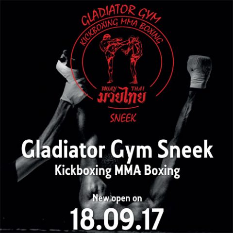gladiator gym kickbox sneek